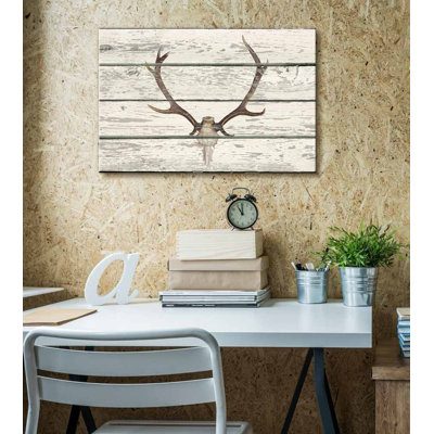Tête de mort, crâne de cerf avec bois de cerf Moody II, œuvre d'art rustique