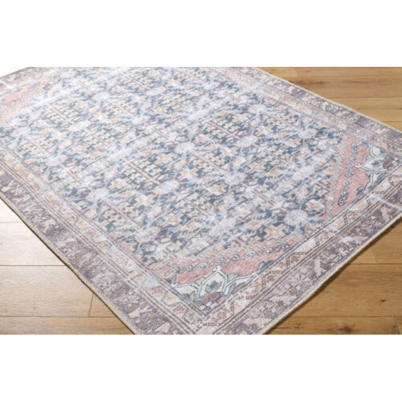 Cadeshia Machine Washable Area Rug, Rectangle 2' x 2'11"