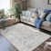 Olekseij Chenille Mashine Washable Vintage Indoor Arae Rug with Non-Slip Backing for Bedroom Living Room Kitchen Entryway