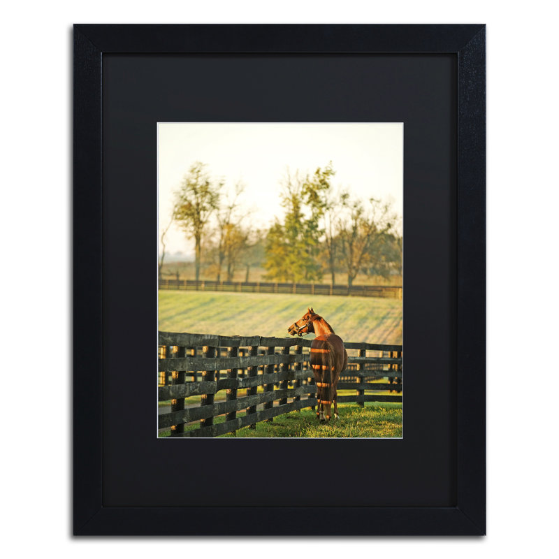 « kentucky cheval de soleil », reproduction de photo sur toile encadrée, H 20 po x l 16 po x P 0,5 po