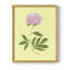 Pivoines en jaune I, reproduction encadrée - bois massif-1596119245