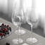 Glass White Wine Glass