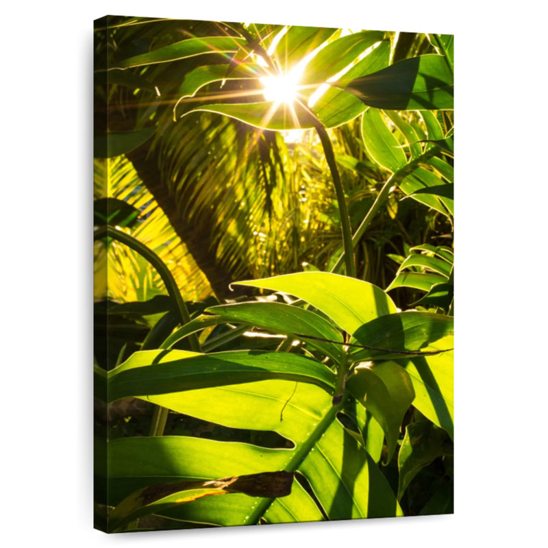 Harnek Sunshiny Green Forest, H 36 po x l 24 po