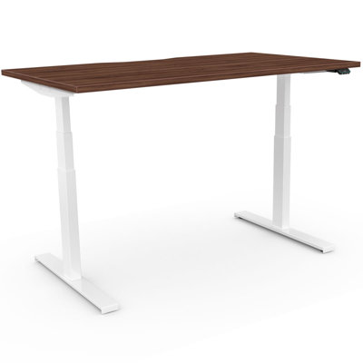 Arnesia Adjustable Metal Base Standing Desk