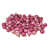 Rose bonbon est en rupture de stock