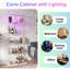 Glass 80 cm W Display Cabinet-763181259