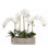 Orchid in Pot