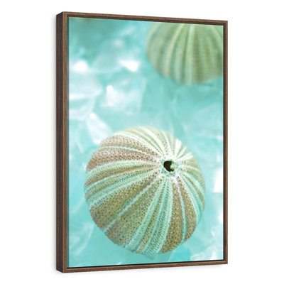 Seaglass IV