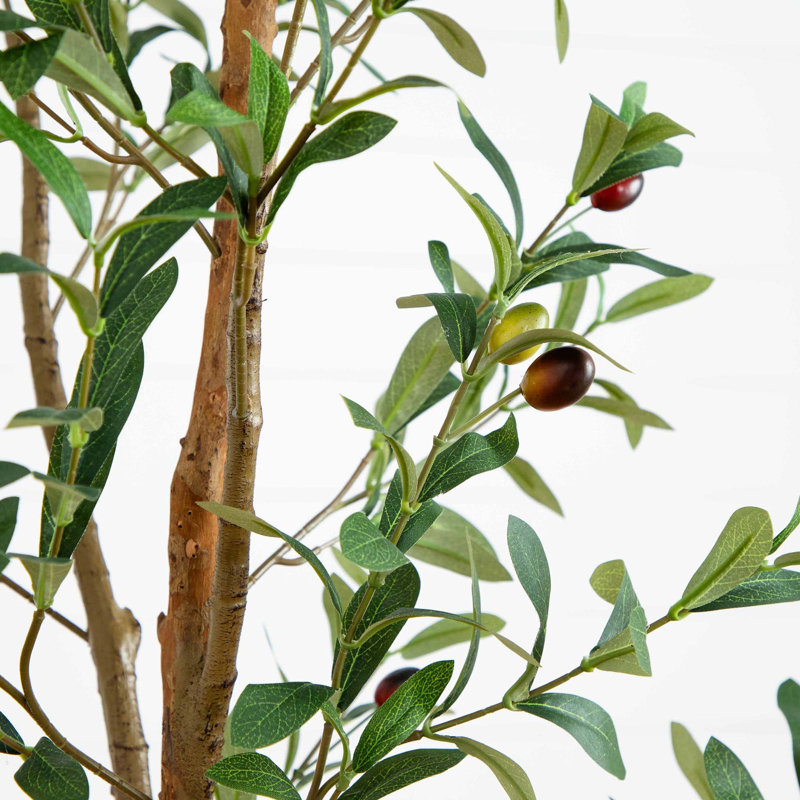 6ft Tall Faux Olive Tree with Natural Trunk in Gray Pot