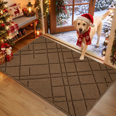 Dirt-Trapping Indoor/Outdoor Doormat with Non-Slip Backing