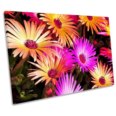 Flowers Blossom Petals - Wrapped Canvas Print