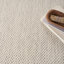 Tapis intérieur / extérieur ivoire / argent Anastasia-111307783