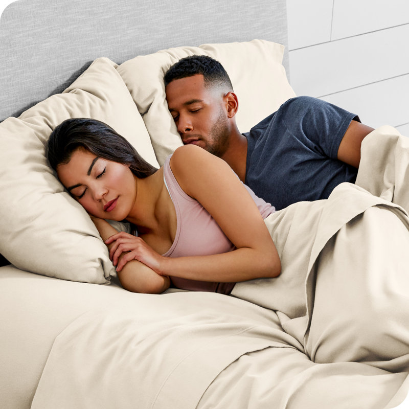 Sand Cotton Flannel Standard Size Pillowcase Set