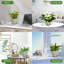 Pots de plantes auto-arrosants d'intérieur-1829309394