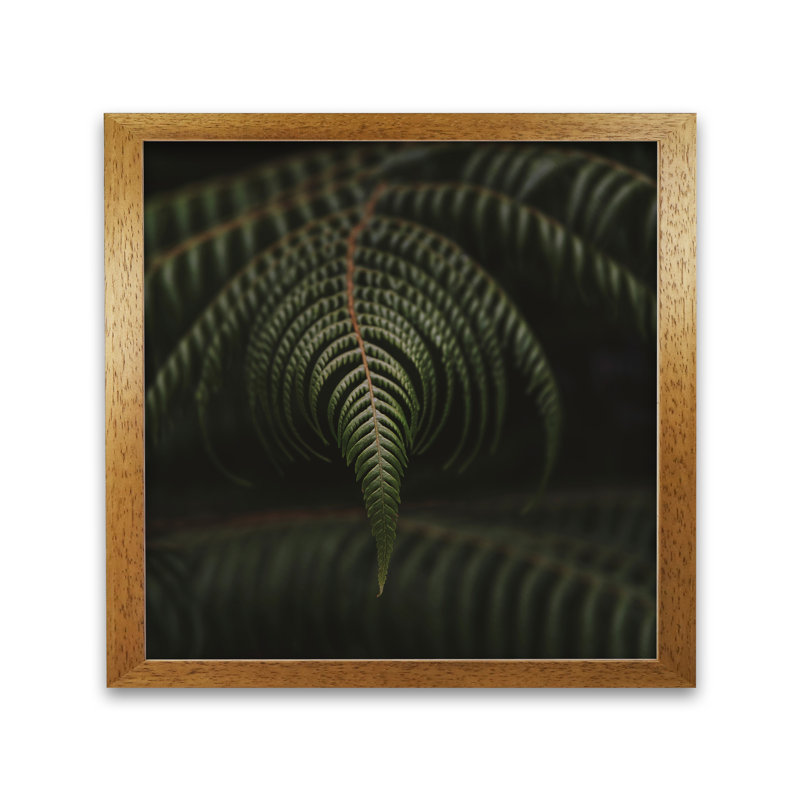 Fern 2 by Nur Mut - Single Picture Frame Print, Honey Oak, 40 cm H x 40 cm W