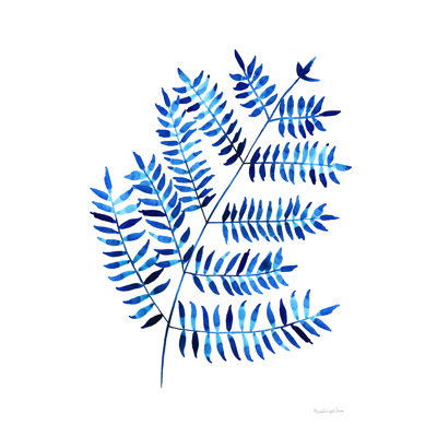 Photographie «Woodland Fern» par Mercedes Lopez Charro
