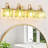 Vintage Bathroom Light Fixtures Tulip Glass Shade (Bulbs Not Included)-533212824-533212804
