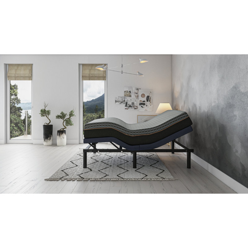 Bt2000 Twin Bed - Capability And Built In Flash Hand Control Adjustable Full Range Adjustment Programmable Memory Position