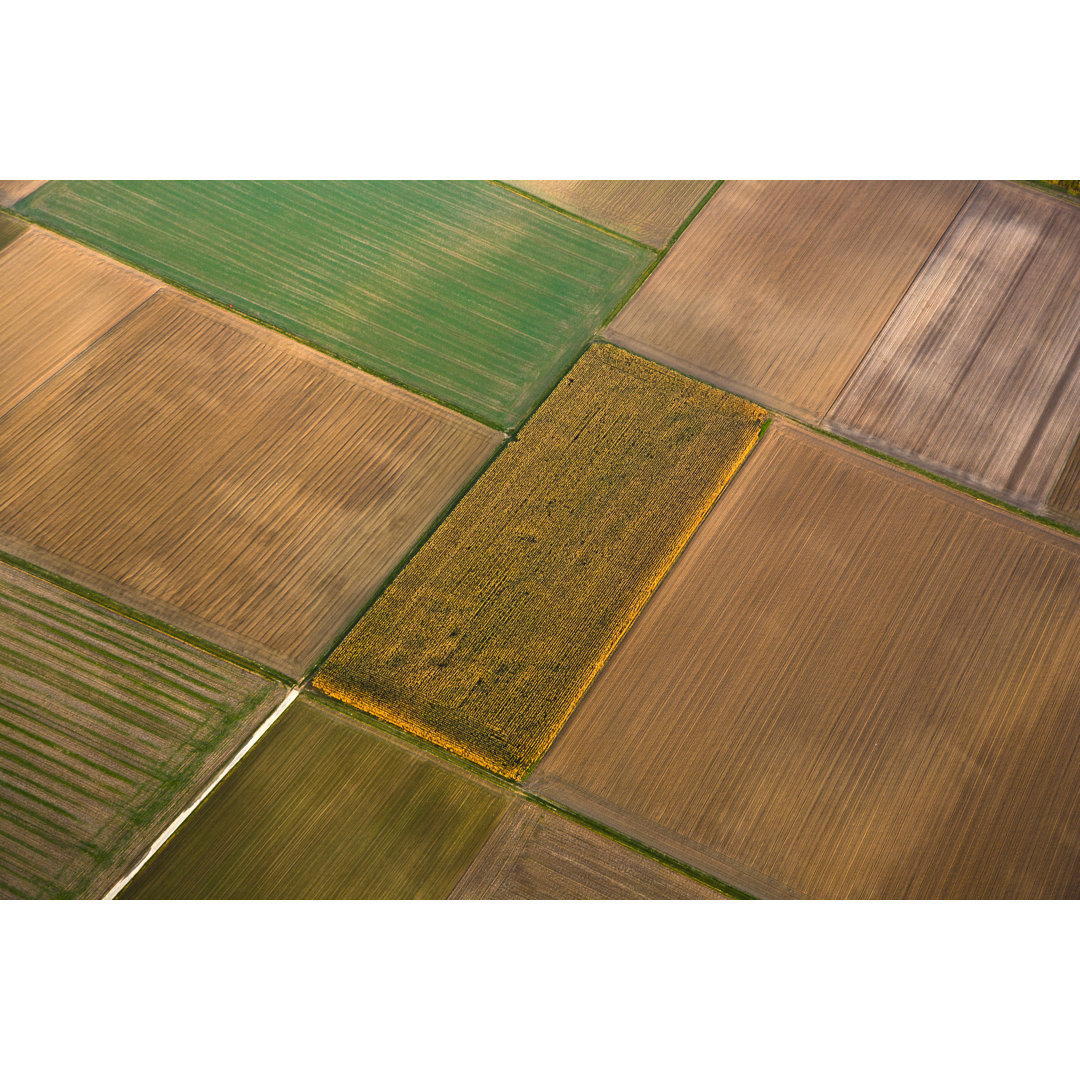 Rural Landscape With Fields - Wrapped Canvas Print