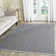 Haqeem Hand Woven Cotton Chevron Rug