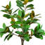 Arbre de magnolia d'extérieur certifié UV