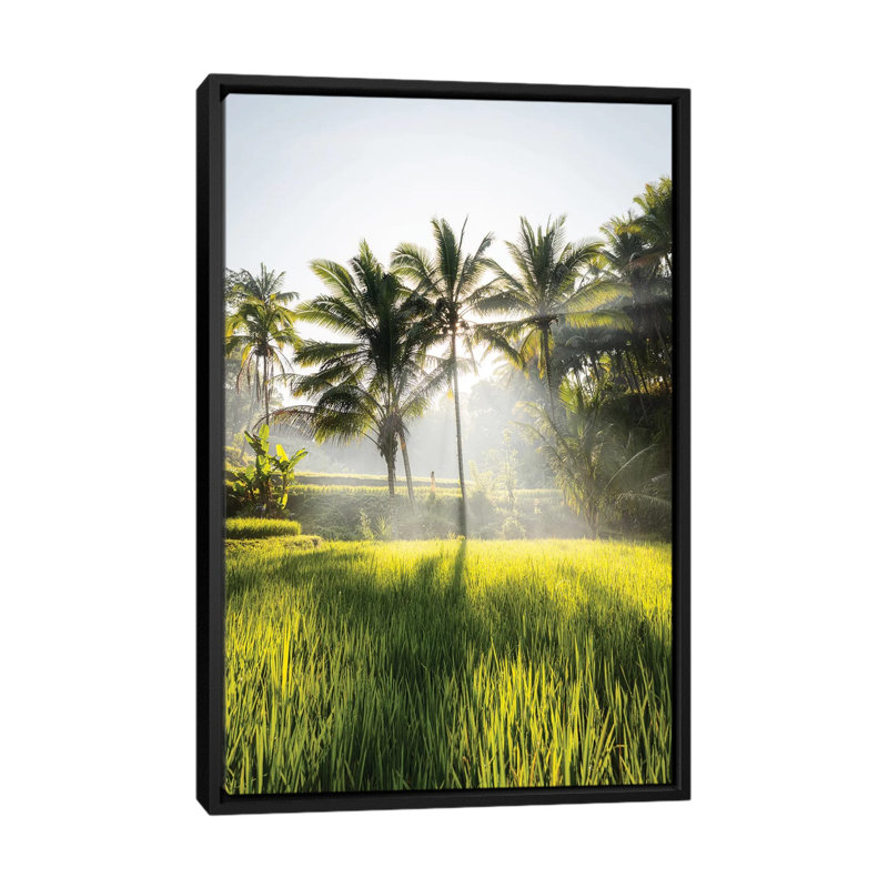 Bali II par Daisuke Uematsu - reproduction de photo, H 26 po x l 40 po x 1,5 po, Toile avec cadre noir, Pas de tapis
