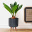 Modern Ribbed Cylinder Round Planter with Feet-2118313558-2118313555