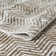 Sabera Chevron Indoor Rug