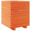 Wood Planter Box-104931186-108200349