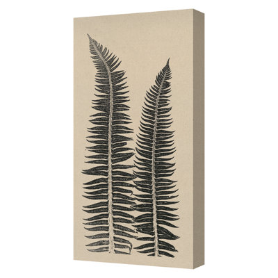 Cocoa Ferns Print by Briggs, Mary Margaret