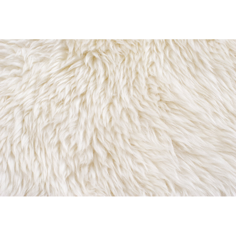 Cream Colored Textured Fur by Ownway - Wrapped Canvas Print, 61cm H x 91cm W