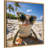 Funny Animal Beach Cool Frog Orange Glasses Selfie by The Creative Bunch Studio Framed Canvas Wall Art Print-1041572545