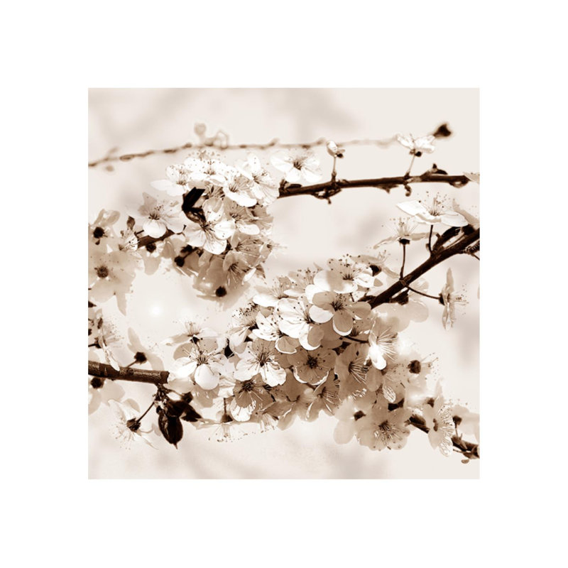 Sakura II par Sofia Fox - photographie, Extérieur, H 24 po x l 24 po x P 1,5 po