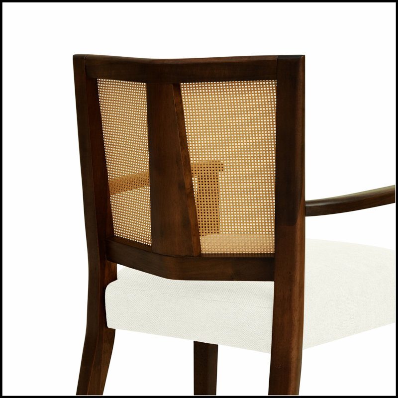 Ensemble de 2 chaises de salle à manger élégantes en rotin avec accoudoirs à dossier, confortables et durables pour les intérieurs modernes