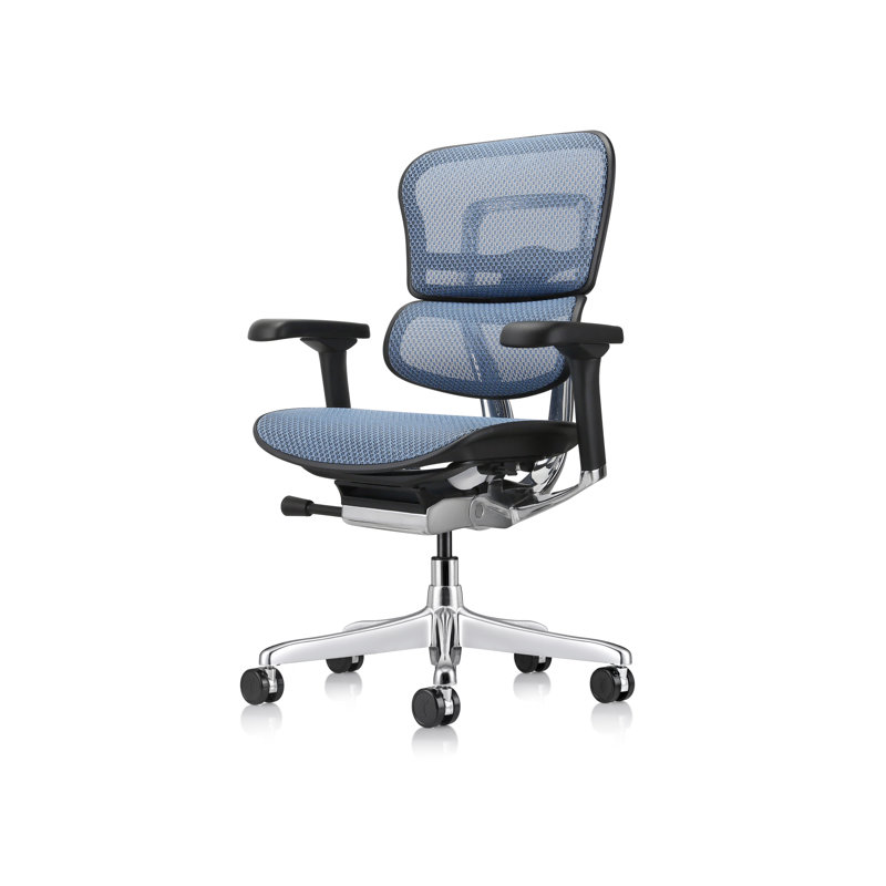 Ergohuman Task Chair, Blue - Generation 2