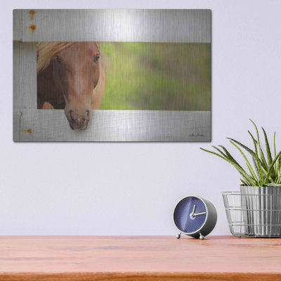 «Horse At Fence» par Lori Deiter sur métal