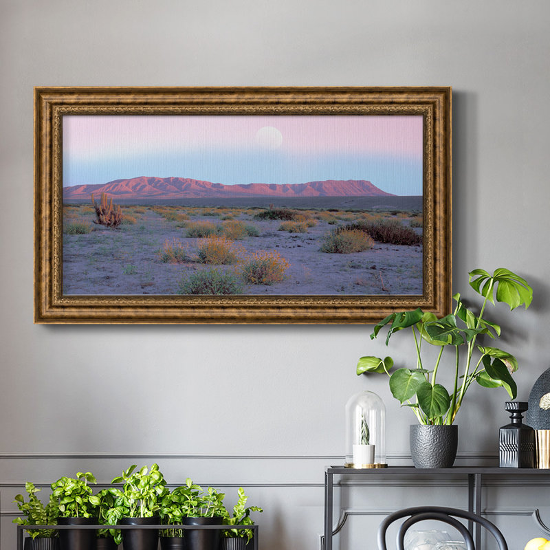 «Vallenar Atacama Desert», reproduction d'un seul cadre photo sur toile, H 25 po x l 45 po x P 1 po