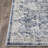 Aldin Oriental Indoor Rug-2120925938