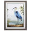 « blue héron », reproduction encadrée