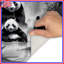 Tapis de bain Panda Family In Water-353523750