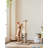 Cat Scratching Post-149430714