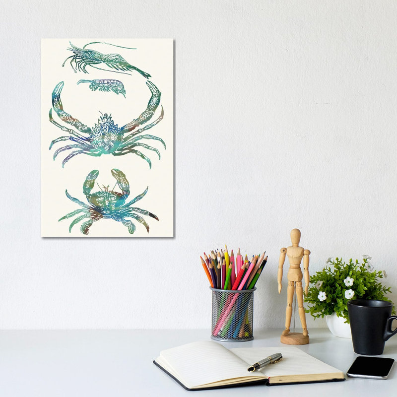 Aquatic Assemblage VIII by Sharon Chandler - Wrapped Canvas Painting, 20.32 cm H x 30.48 cm W