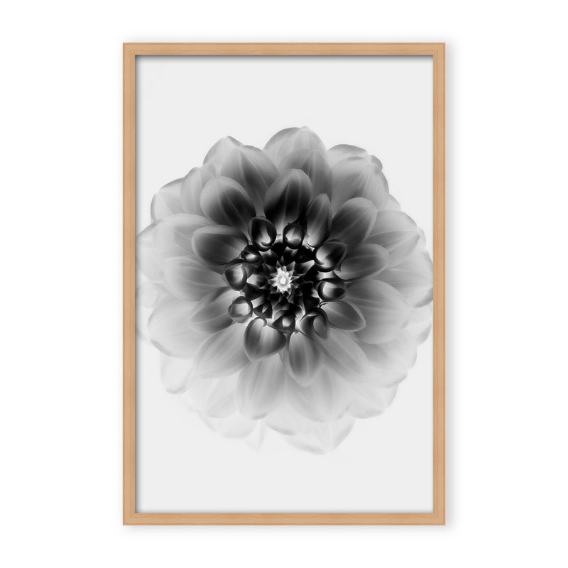 X-Ray Print by Alex Zhao, 24" H x 16" W x 1.125" D, Black, Framed Matted Print