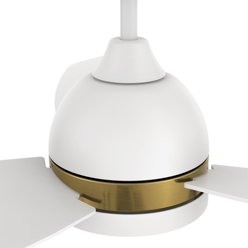Fremont 48'' Smart Ceiling Fan with Remote, Light Kit Included,Works with Google Assistant and Amazon Alexa,Siri Shortcut.