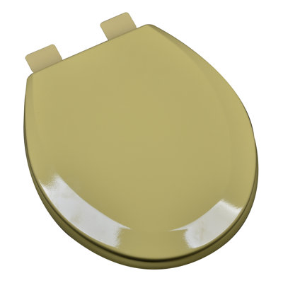 Round Toilet Seat and Lid