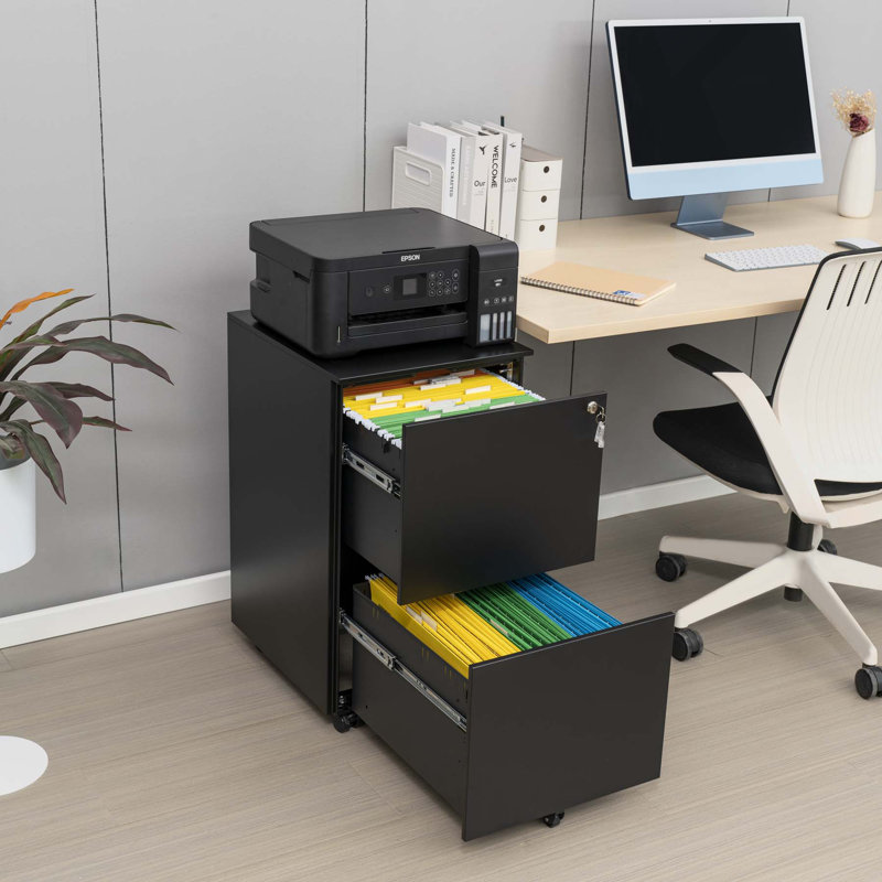 Mandrill 17.72'' Wide Filing Storage Cabinet, Black