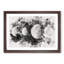 Moons of Jupiter - Picture Frame Painting Print-56734254-56734257