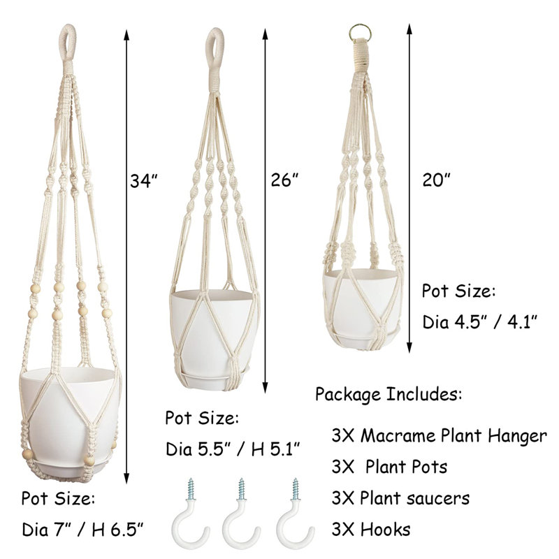 Cintres à plantes avec pots et soucoupes