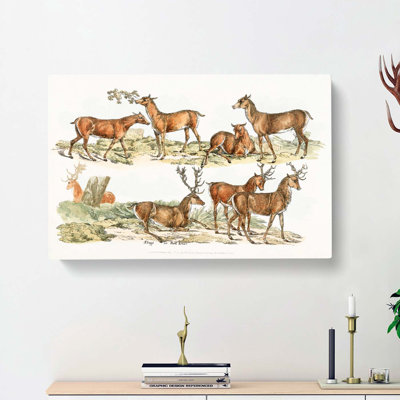 Stags Or Red Deer by Henry Alken - Wrapped Canvas