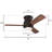Halley 44'' Ceiling Fan with Light Kit
